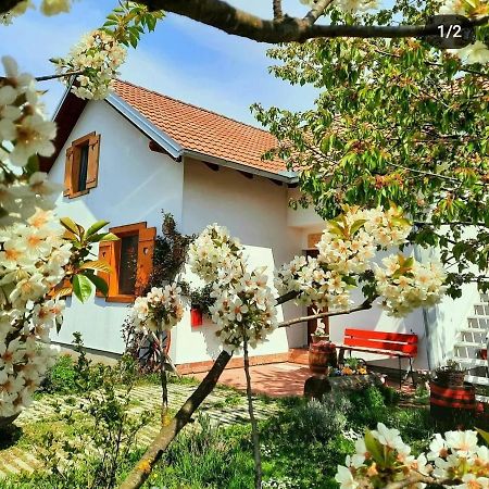 Отель Kuca Za Odmor "Dva Srca" Ceminac Экстерьер фото