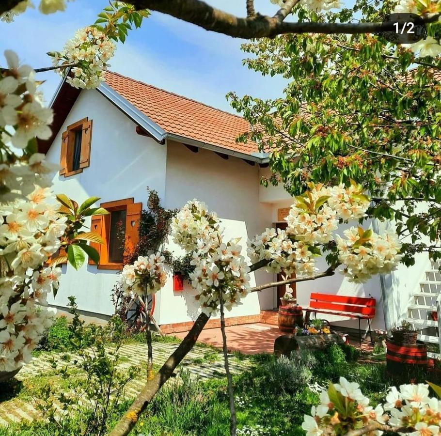 Отель Kuca Za Odmor "Dva Srca" Ceminac Экстерьер фото