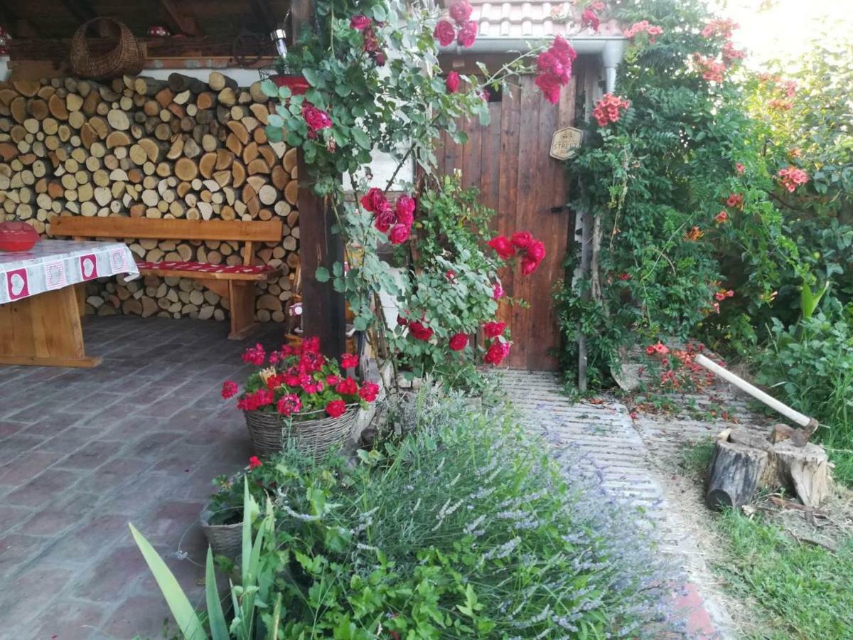 Отель Kuca Za Odmor "Dva Srca" Ceminac Экстерьер фото